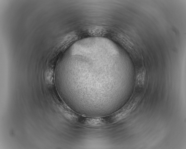 X0000112080671200908111456