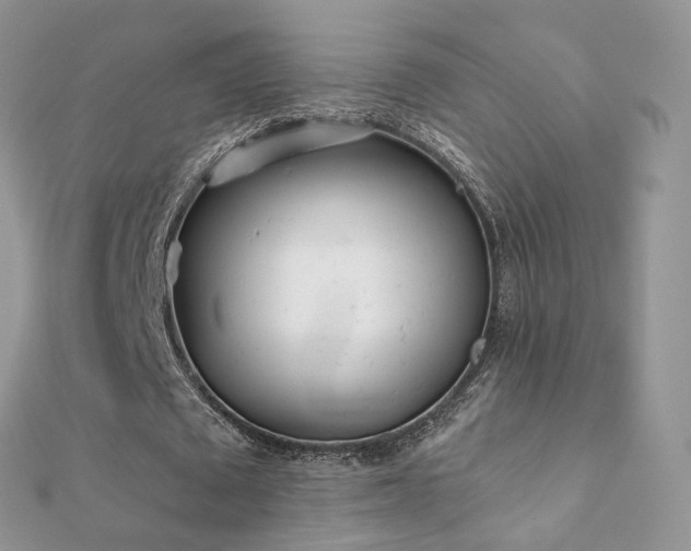 X0000112080673200908111456
