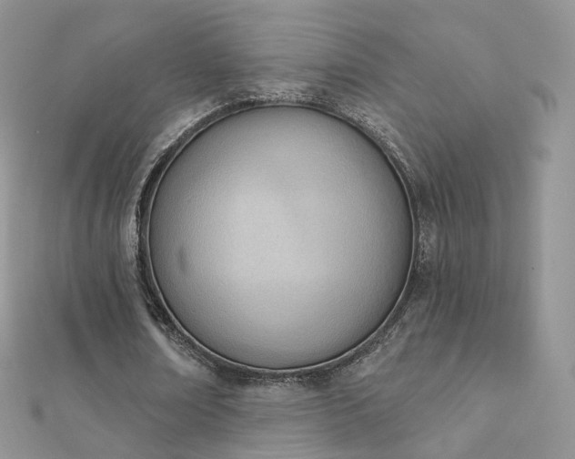 X0000112080674200908111455
