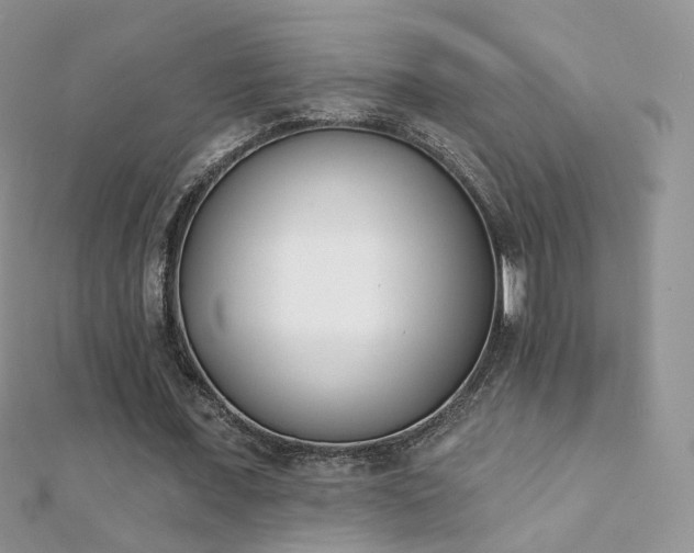 X0000112080675200908111455