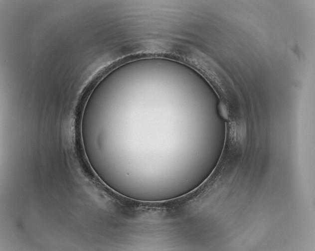 X0000112080676200908111455