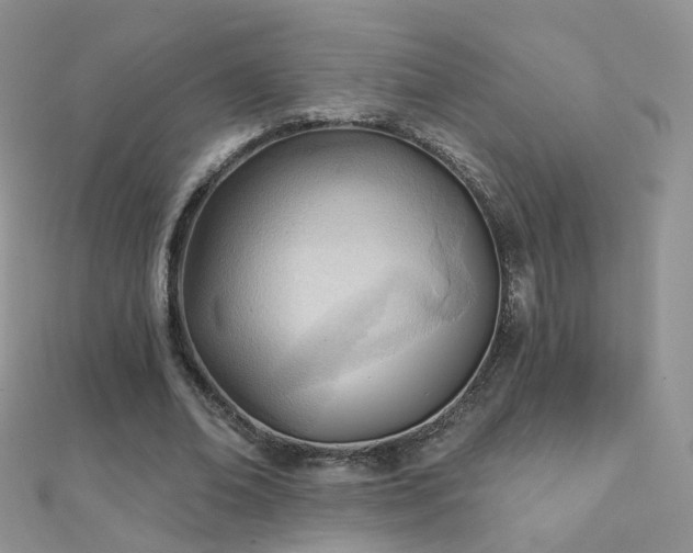 X0000112080678200908111455