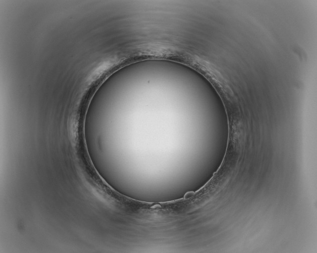 X0000112080679200908111455