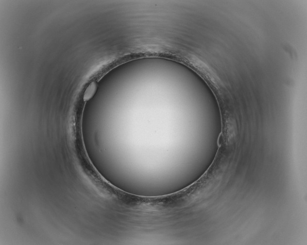 X0000112080680200908111455