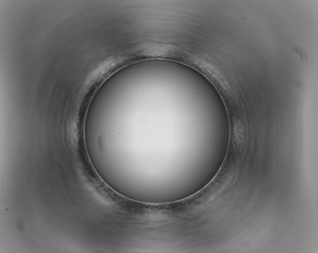 X0000112080682200908111455