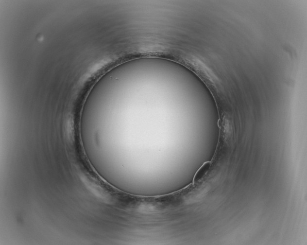 X0000112080684200908111455
