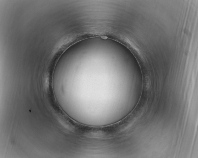 X0000112080685200908111455
