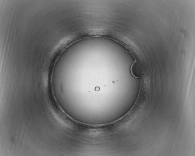 X0000112080686200908111455