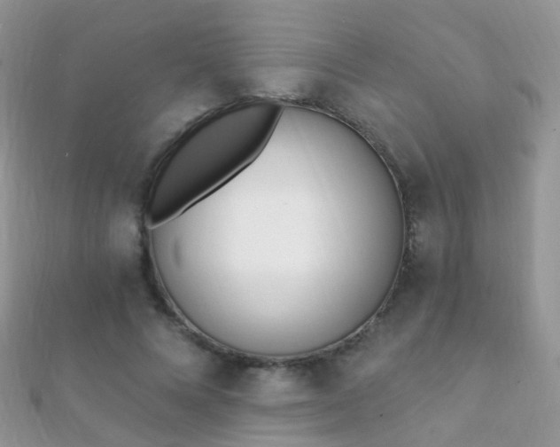 X0000112080688200908111455