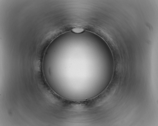 X0000112080689200908111455