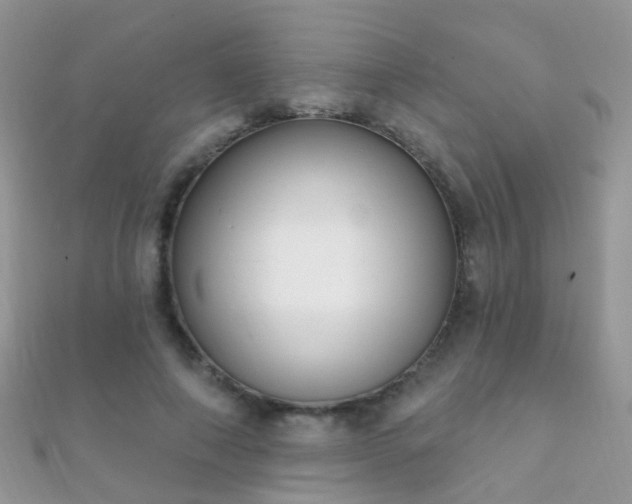 X0000112080690200908111455