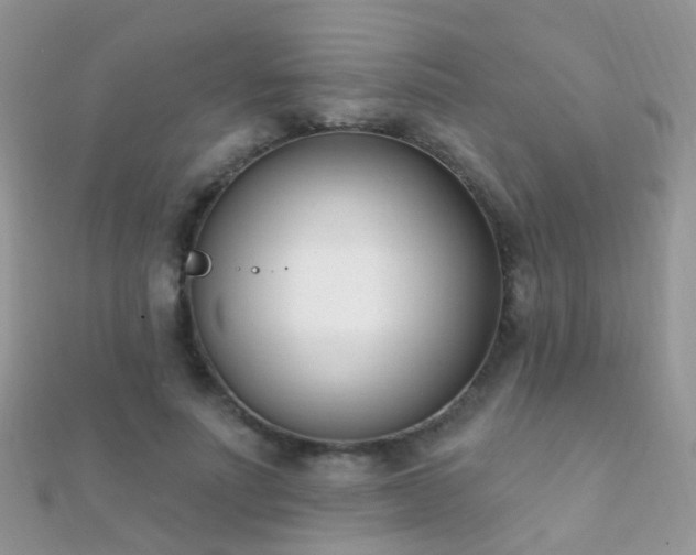 X0000112080691200908111455