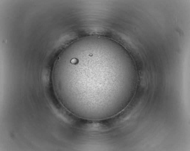 X0000112080695200908111455