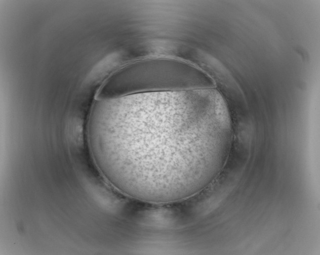 X0000112080696200908111455