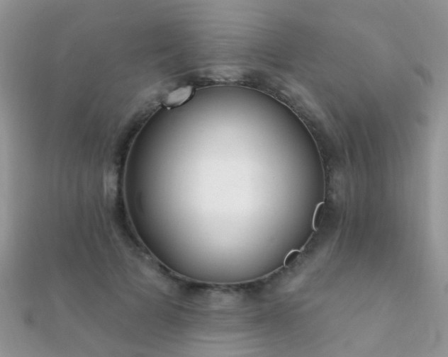X0000112080697200908111455