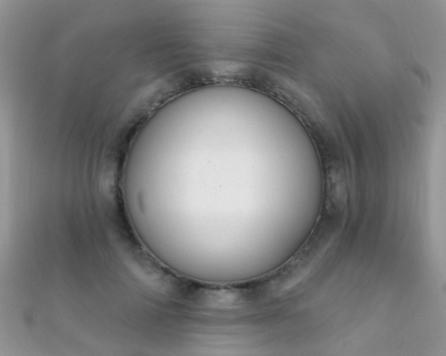 X0000112080698200908111455