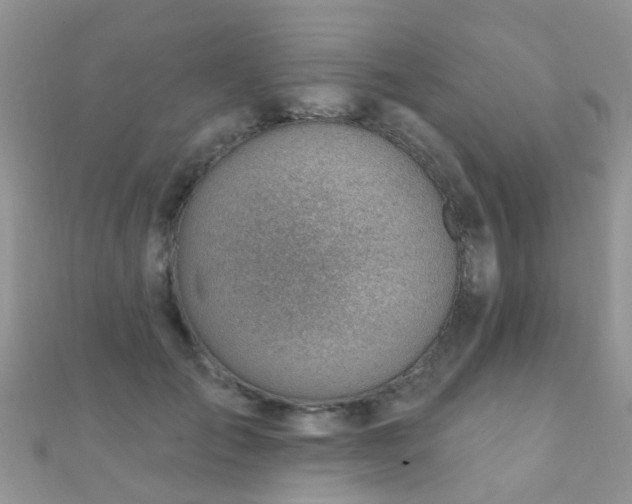 X0000112080701200908111455