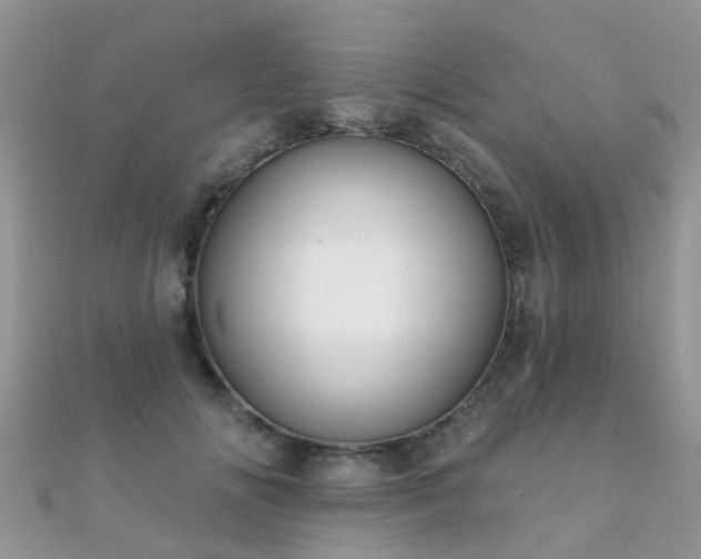 X0000112080702200908111455