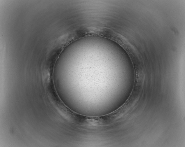 X0000112080703200908111455