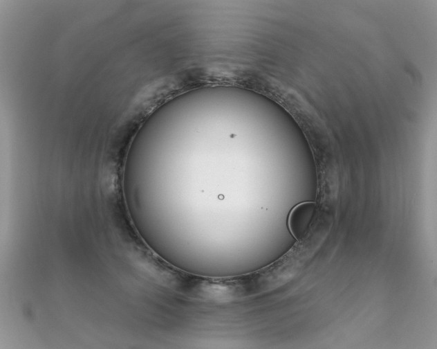 X0000112080706200908111455