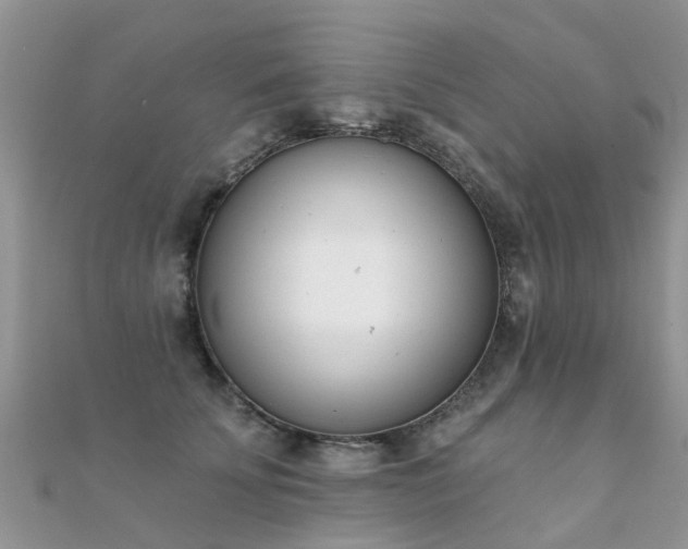 X0000112080707200908111455