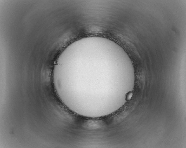 X0000112080708200908111455