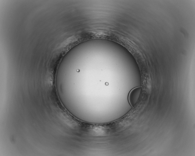 X0000112080710200908111455