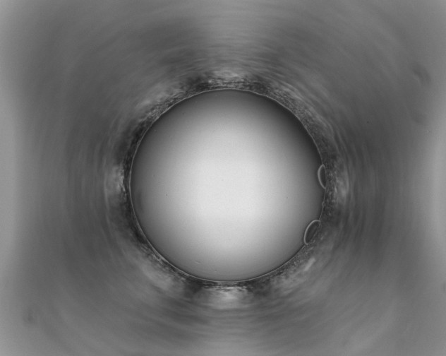 X0000112080711200908111455