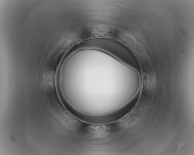 X0000112080712200908111455