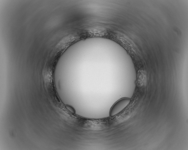 X0000112080713200908111455
