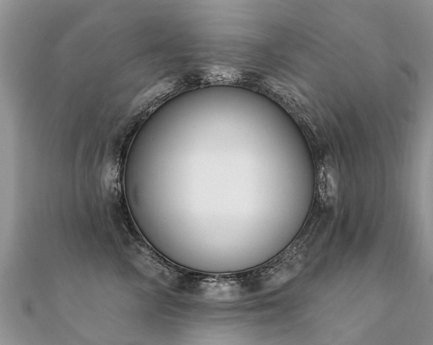 X0000112080714200908111455