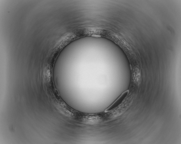 X0000112080716200908111455