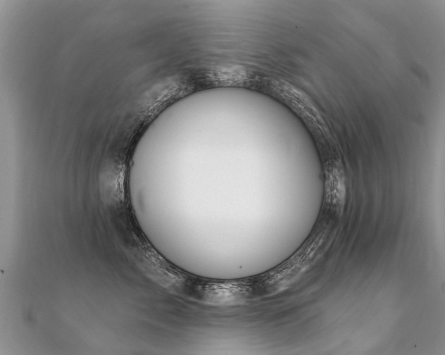 X0000112080717200908111455