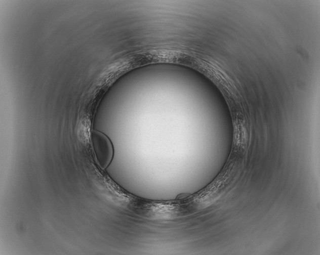X0000112080718200908111455