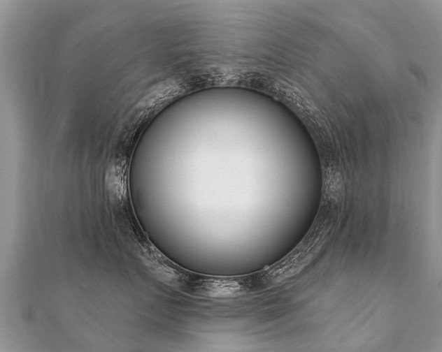 X0000112080719200908111455