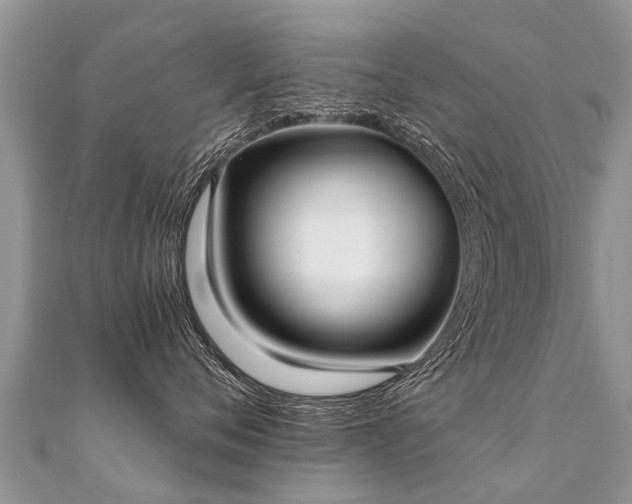 X0000112080720200908111455