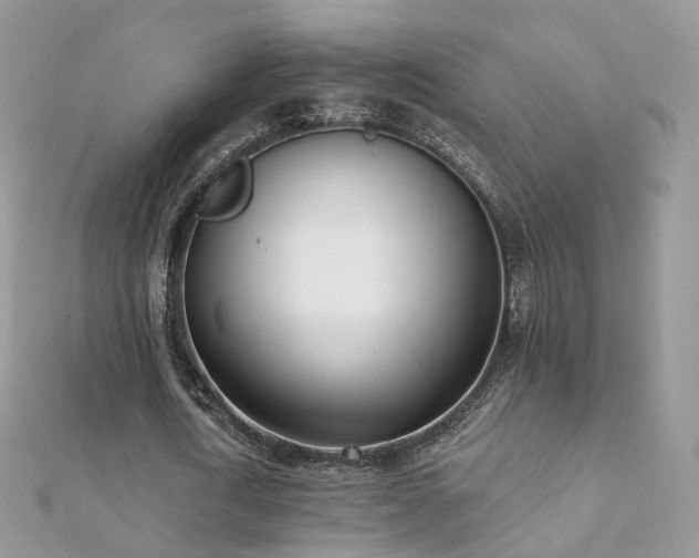 X0000112080722200908111454