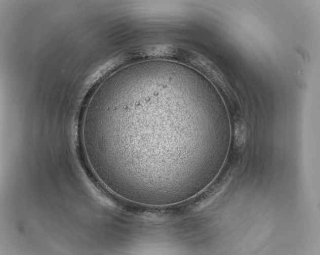 X0000112080725200908111454