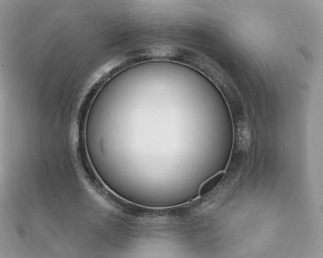X0000112080726200908111454