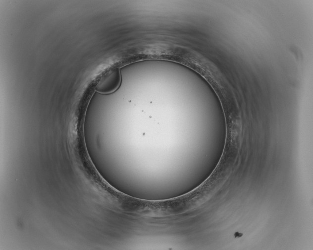 X0000112080727200908111454