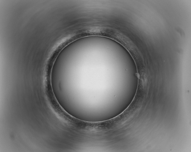 X0000112080728200908111454