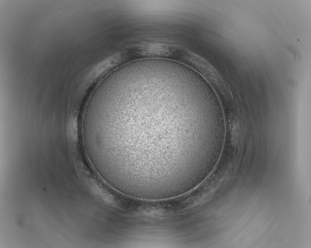 X0000112080729200908111454