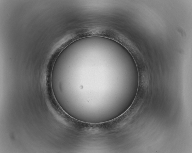 X0000112080730200908111454