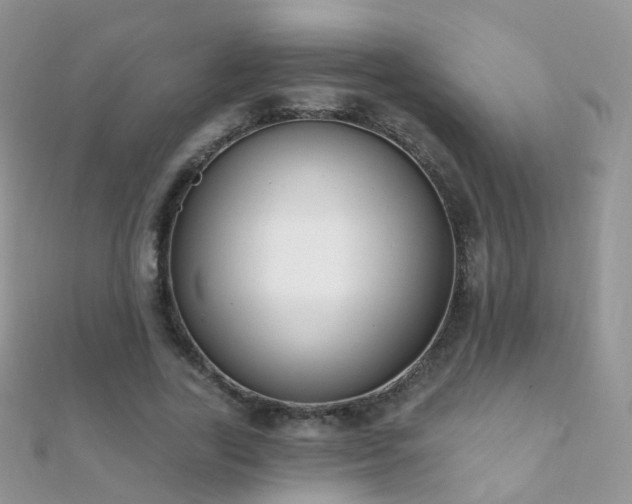 X0000112080731200908111454