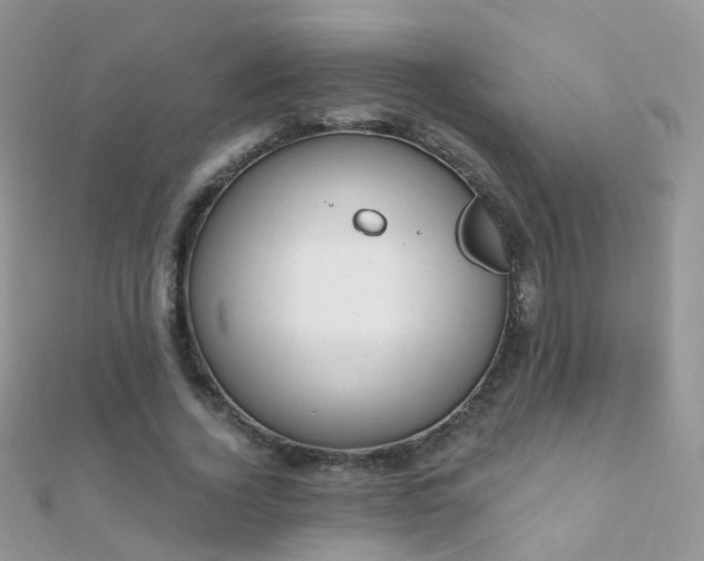 X0000112080732200908111454