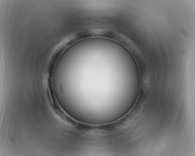 X0000112080734200908111454