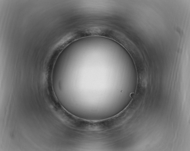 X0000112080735200908111454