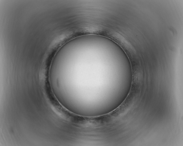 X0000112080736200908111454