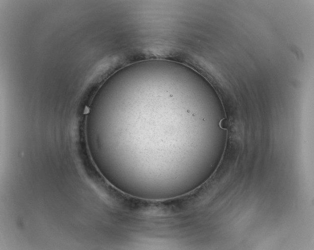 X0000112080738200908111454