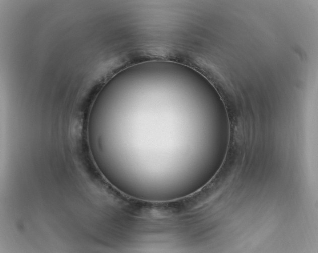 X0000112080739200908111454